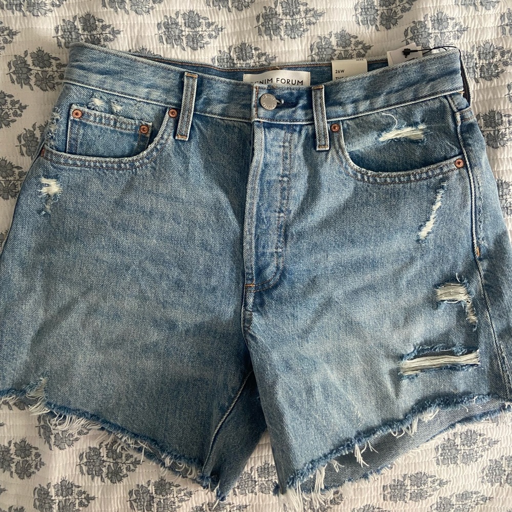 Aritzia Denim Forum Ex Boyfriend Shorts